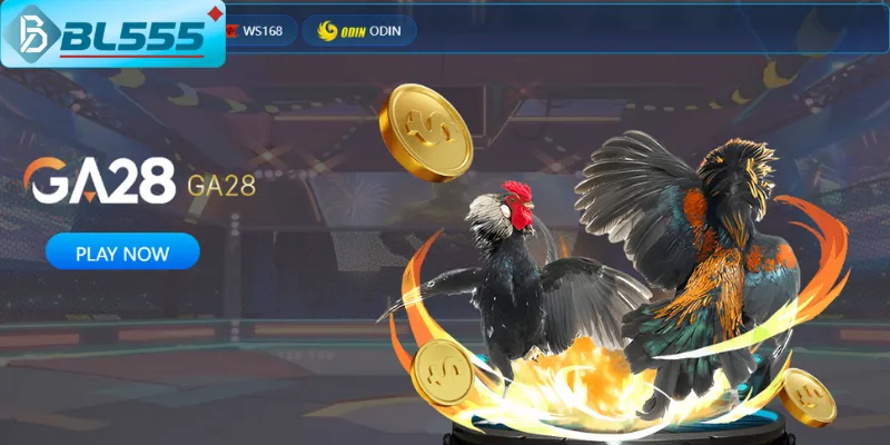 Giao diện đặt cược đá gà BL555 chỉ 3 giây mỗi trận